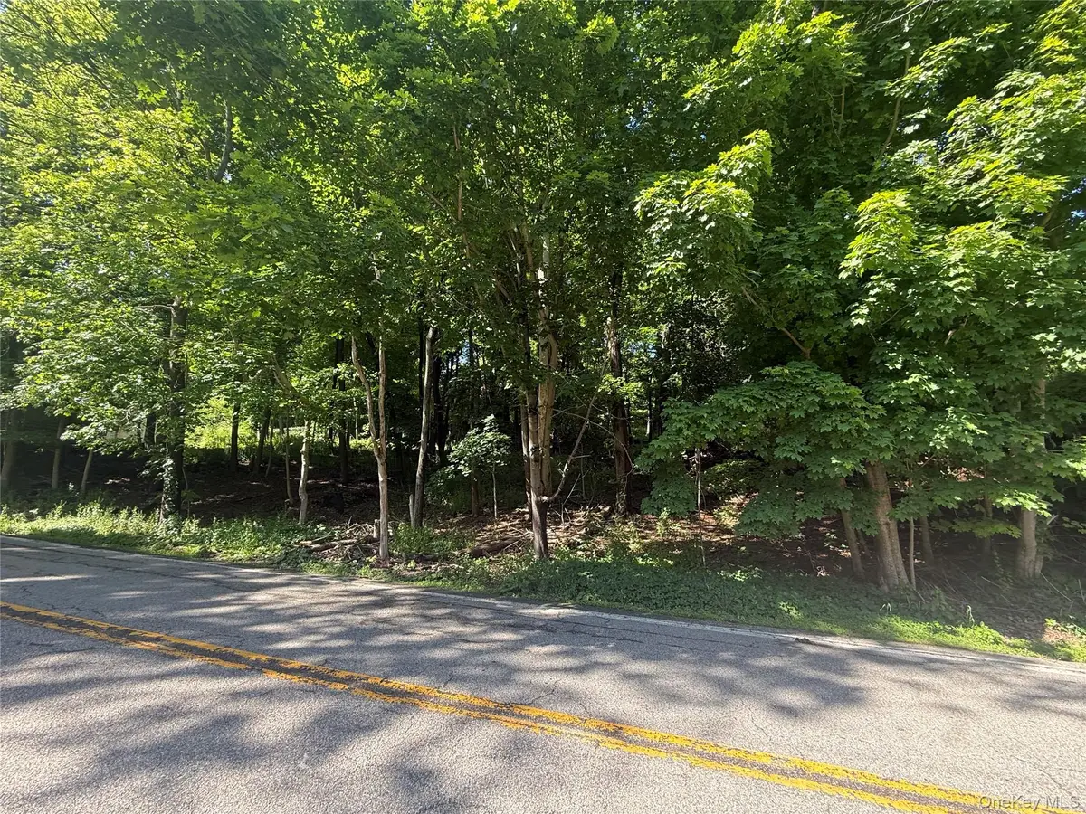 Rt-292, Holmes, NY 12531 - #1