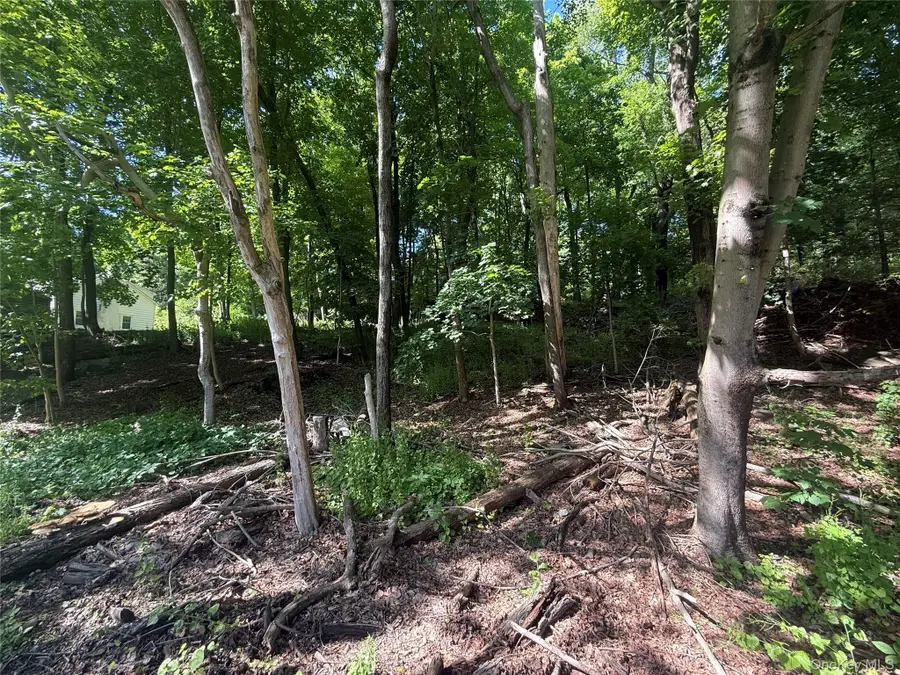 Rt-292, Holmes, NY 12531 - #3