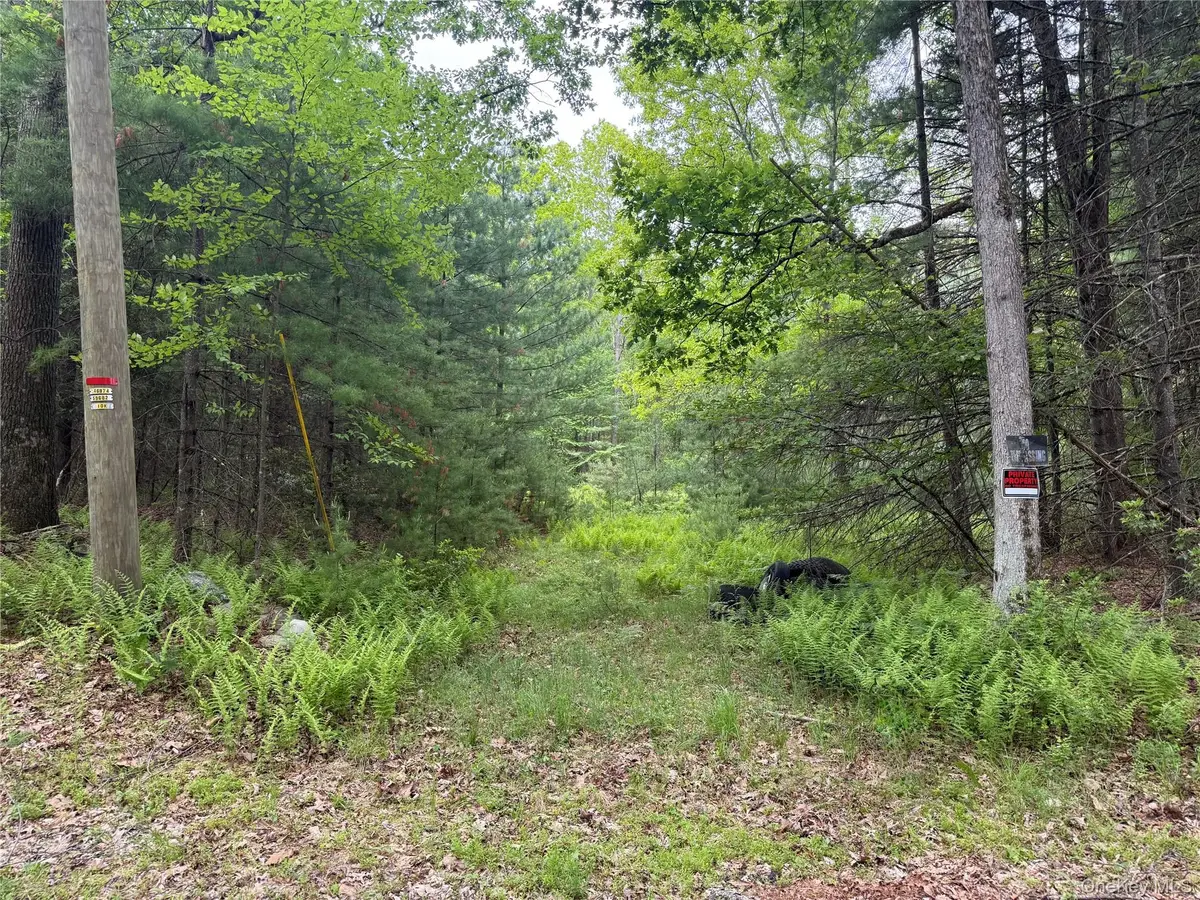 Depot Road, Wurtsboro, NY 12790 - #1