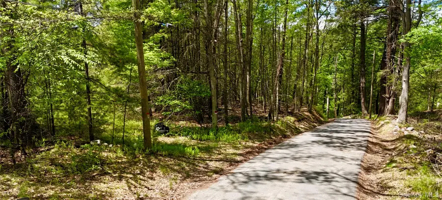Depot Road, Wurtsboro, NY 12790 - #3