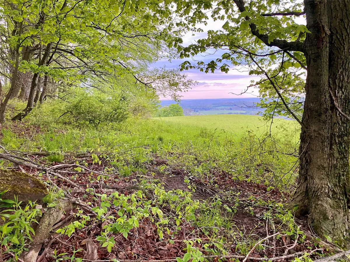 301 & 305 Hust Road Hust, Callicoon, NY 12748 - #1