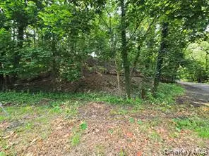 lot Valley Avenue, Northport, NY 11768 - #1