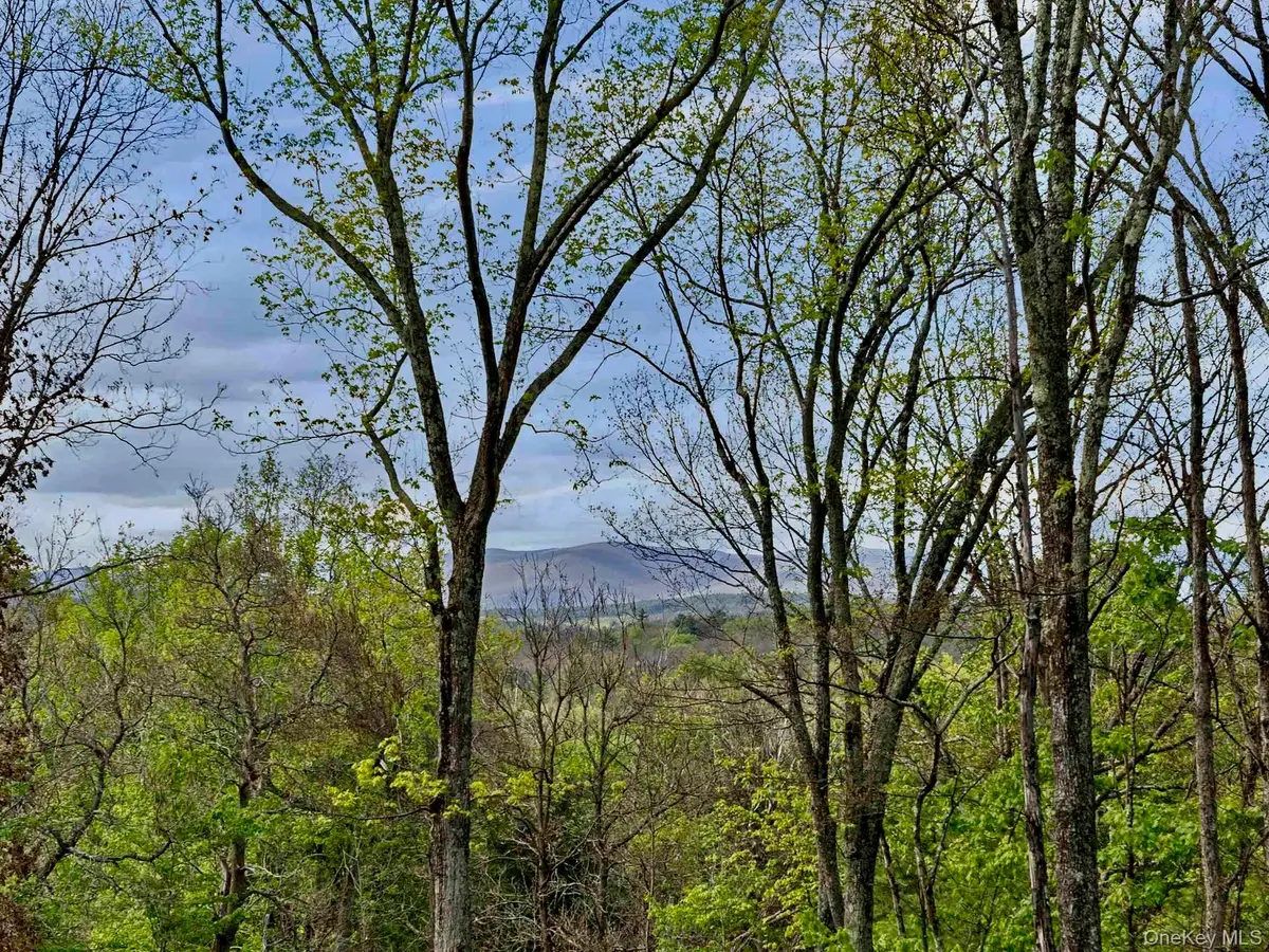 Tbd Route 44/55, Kerhonkson, NY 12446 - #1
