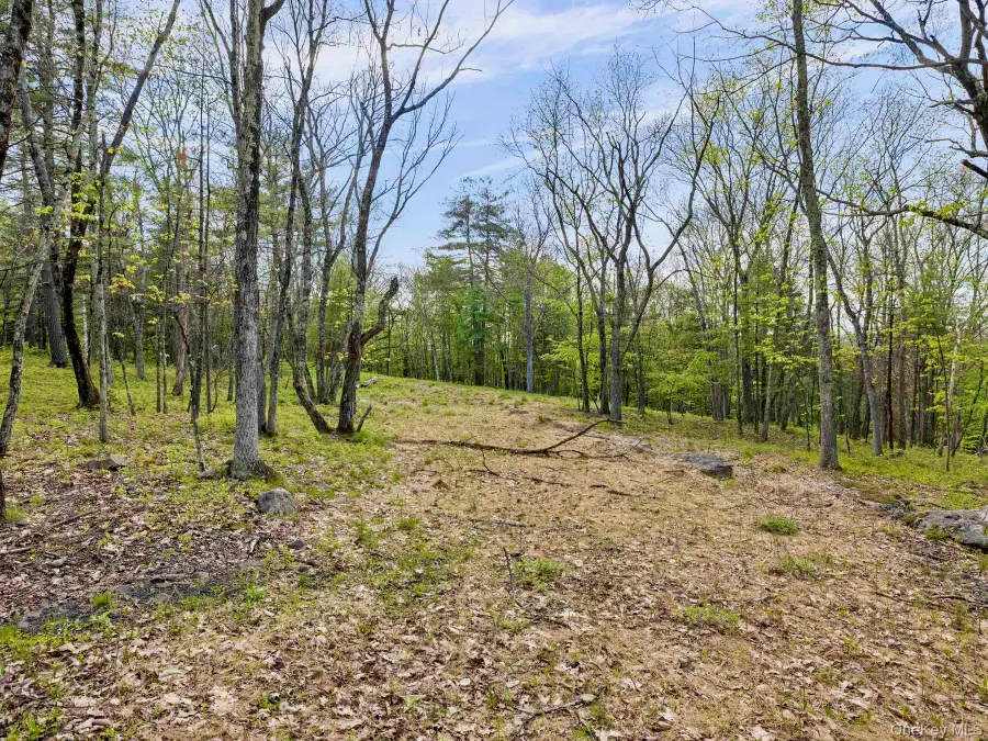 Tbd Route 44/55, Kerhonkson, NY 12446 - #2