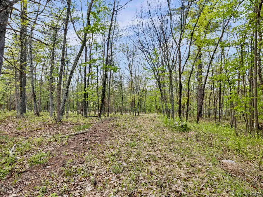 Tbd Route 44/55, Kerhonkson, NY 12446 - #3