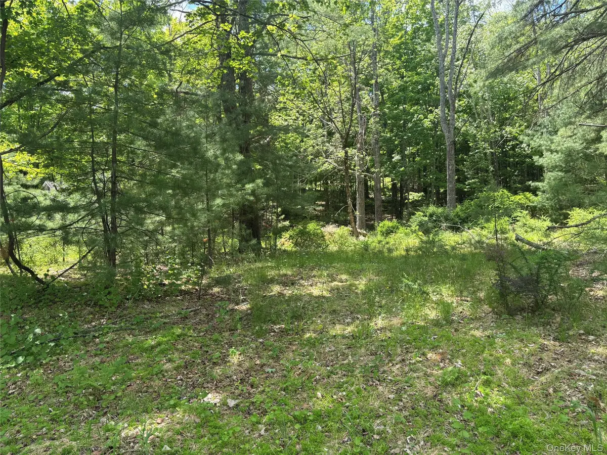 400 Red Hill Road, Mamakating, NY 12790 - #1