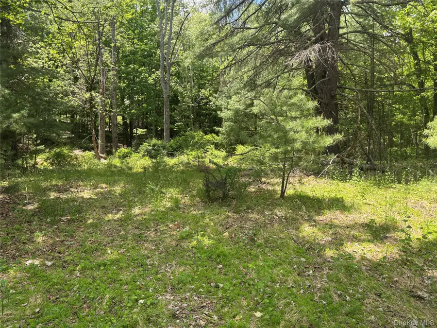 400 Red Hill Road, Mamakating, NY 12790 - #2