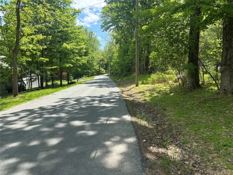400 Red Hill Road, Mamakating, NY 12790 - #3