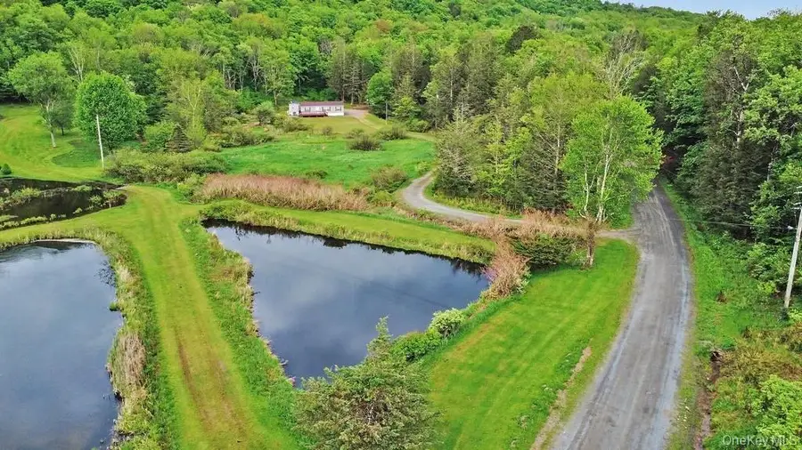 308 William Brown Road, Fremont, NY 12736 - #2