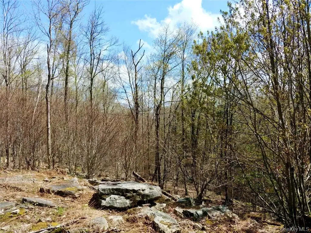 Shandelee Road, Livingston Manor, NY 12758 - #1