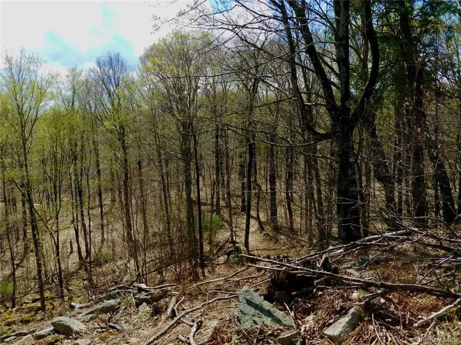 Shandelee Road, Livingston Manor, NY 12758 - #2