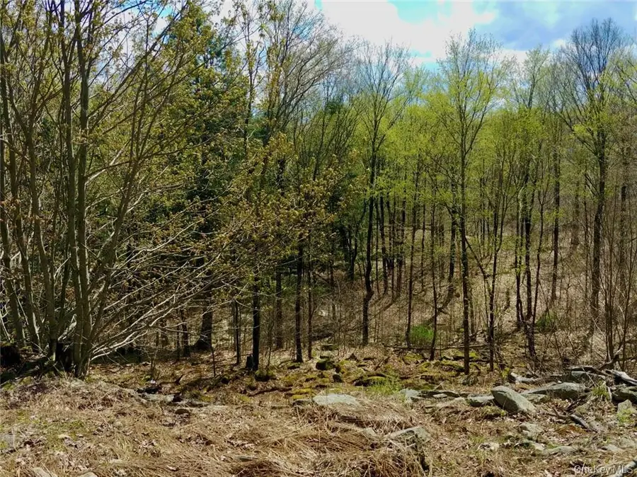 Shandelee Road, Livingston Manor, NY 12758 - #3