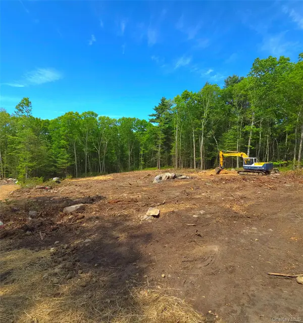 1027 Pine Kill, Wurtsboro, NY 12790