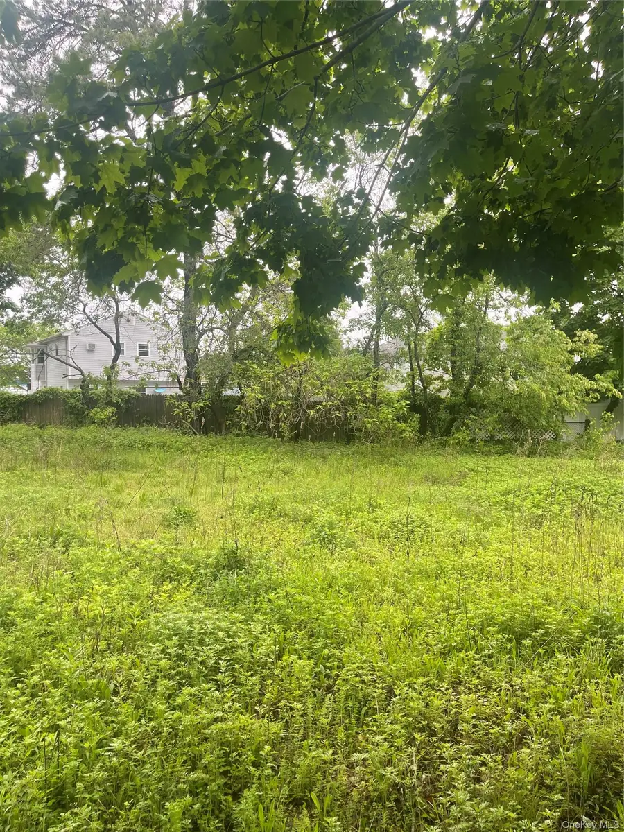Johnson St, Amityville, NY 11701 - #3