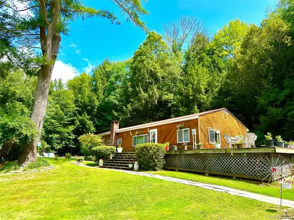 12 Mesmer, Callicoon, NY 12723