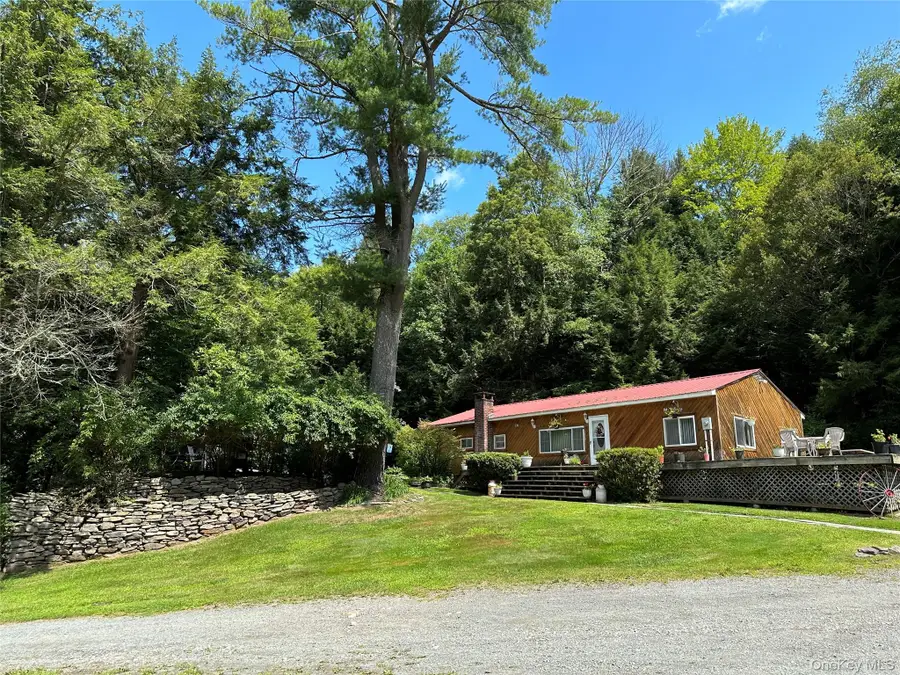 12 Mesmer, Callicoon, NY 12723 - #2