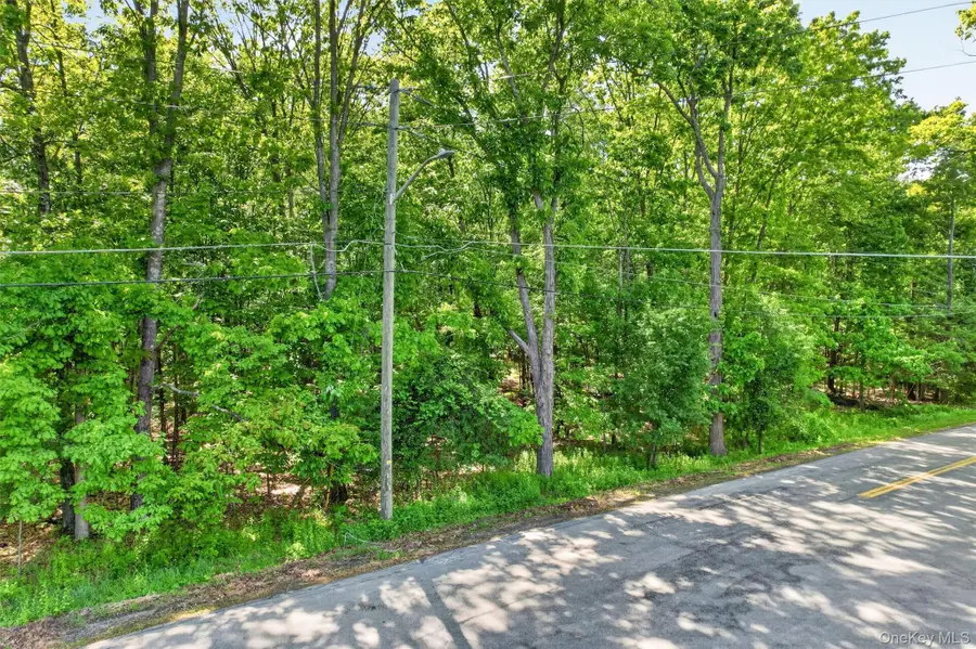 Dosen Road, Middletown, NY 10940 - #2