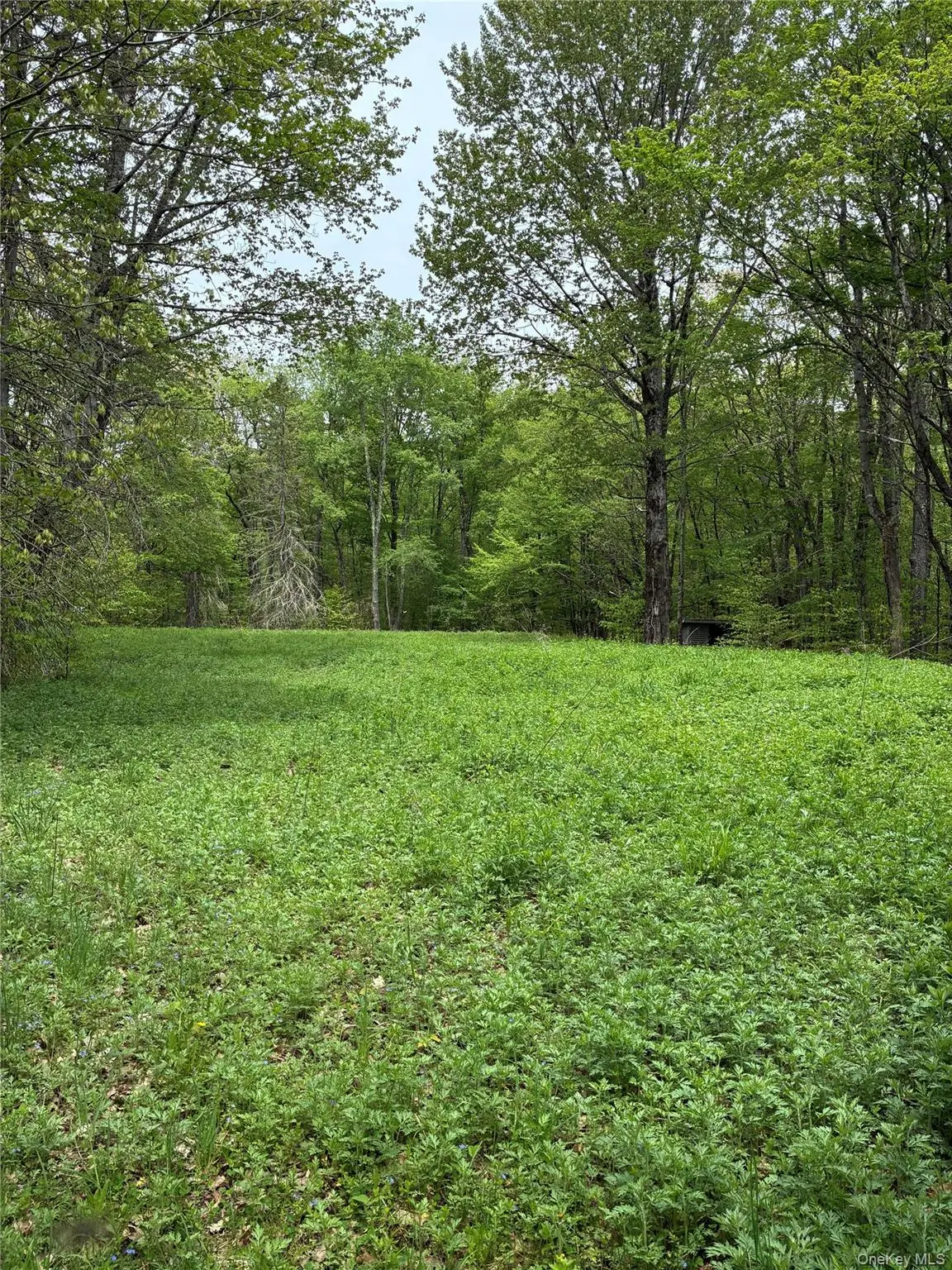 1 Mountain Lake Road, Andes, NY 13731 - #1