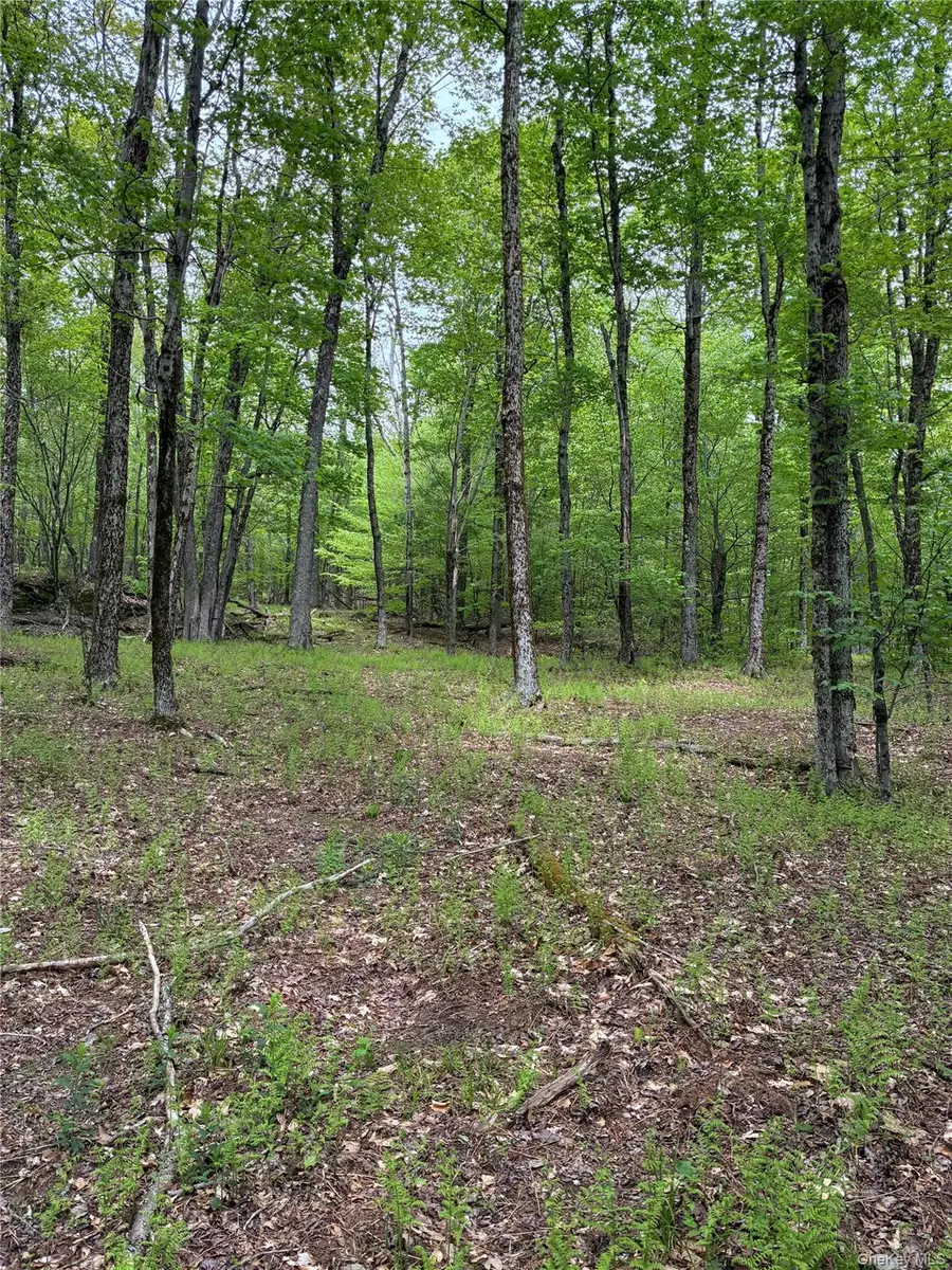 1 Mountain Lake Road, Andes, NY 13731 - #3