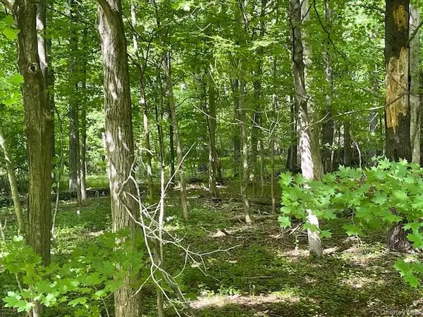 Joel M Austin Road N, Cairo, NY 12413