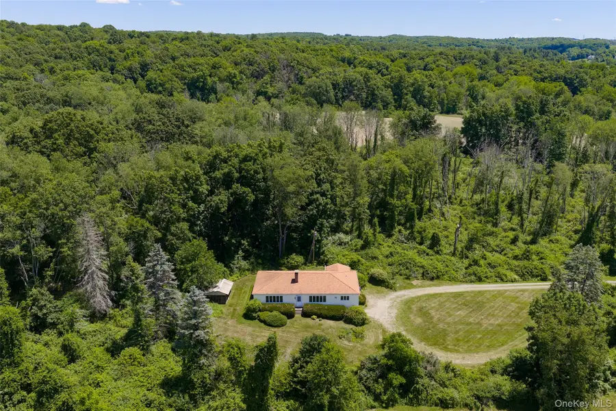 229 N Clove Road, Verbank, NY 12585 - #3