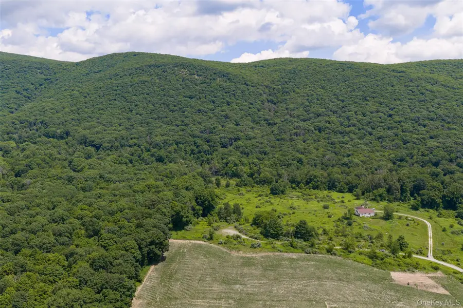 Mountain Edge Lane, Millerton, NY 12546 - #3
