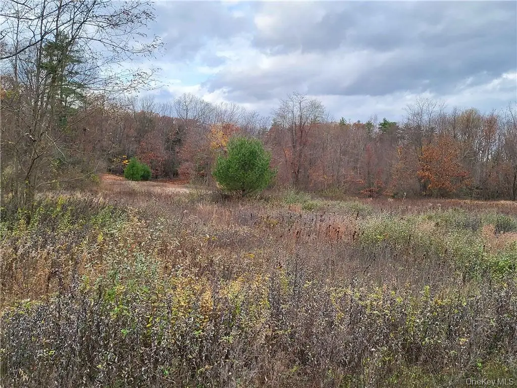 Ashley Drive - Lot 5, Rosendale, NY 12472 - #1