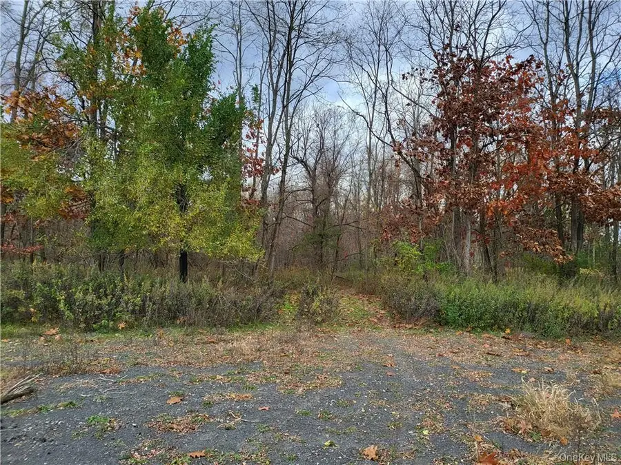 Ashley Drive - Lot 5, Rosendale, NY 12472 - #3