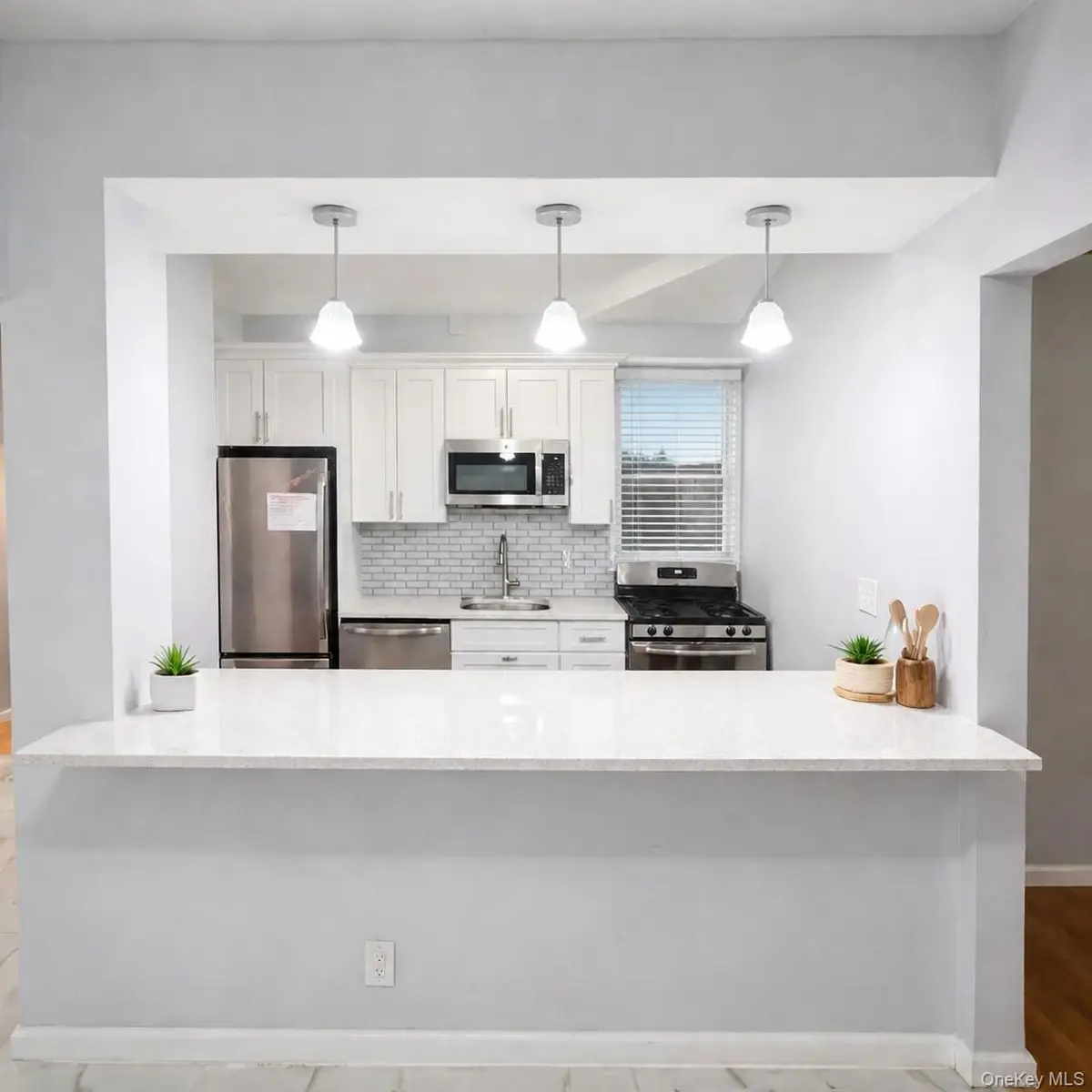 2 Fisher Drive #L1, Mount Vernon, NY 10552 - #1