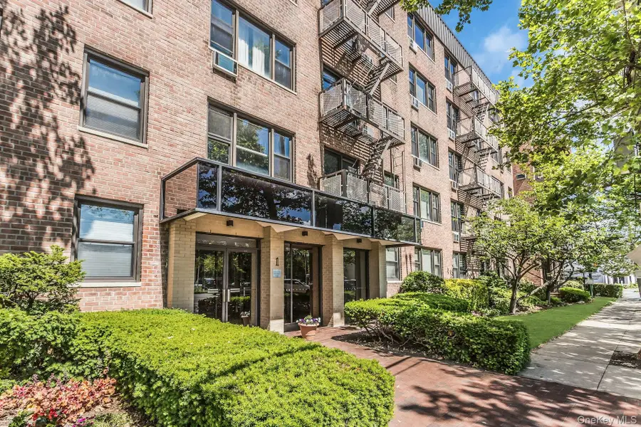 1 Birchwood #5J, Mineola, NY 11501 - #2