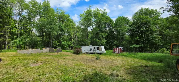 208 Parksville Road, Parksville, NY 12768