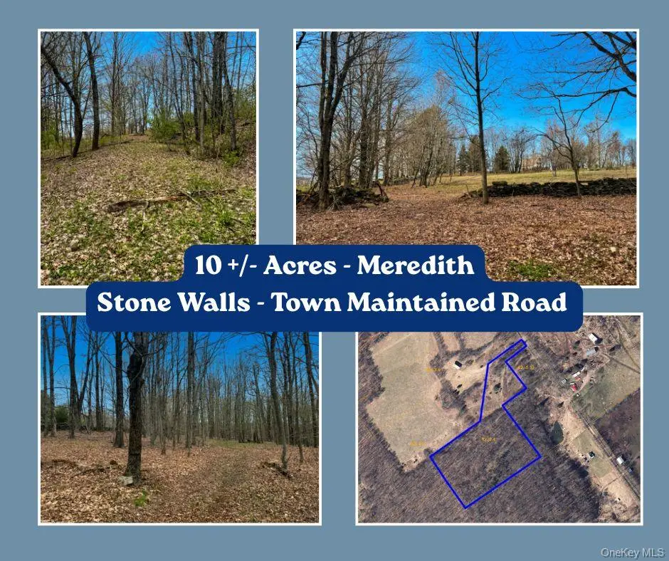 Lot 4 Shaver Hill Road, Meredith, NY 13806 - #1