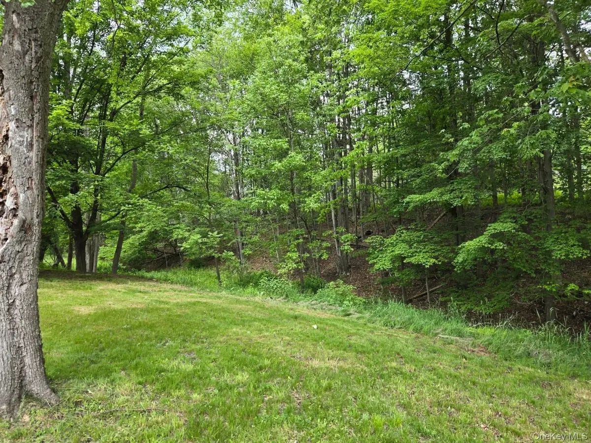 Overlook Avenue, Mountain Dale, NY 12763 - #1