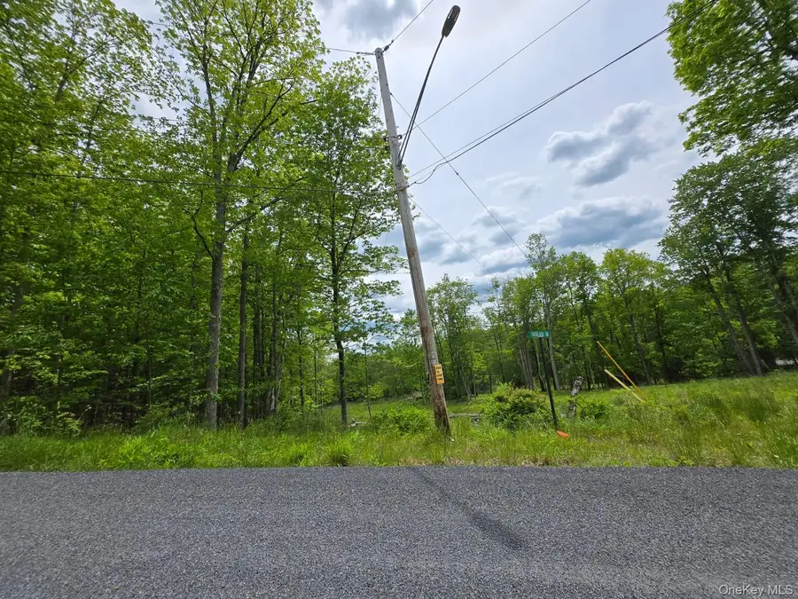Overlook Avenue, Mountain Dale, NY 12763 - #2