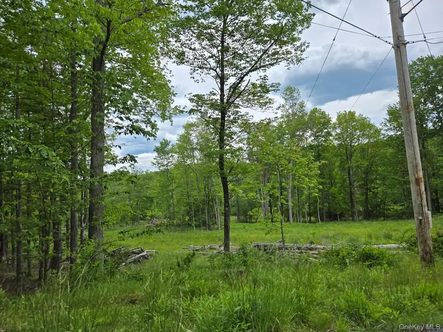Overlook Avenue, Mountain Dale, NY 12763 - #3