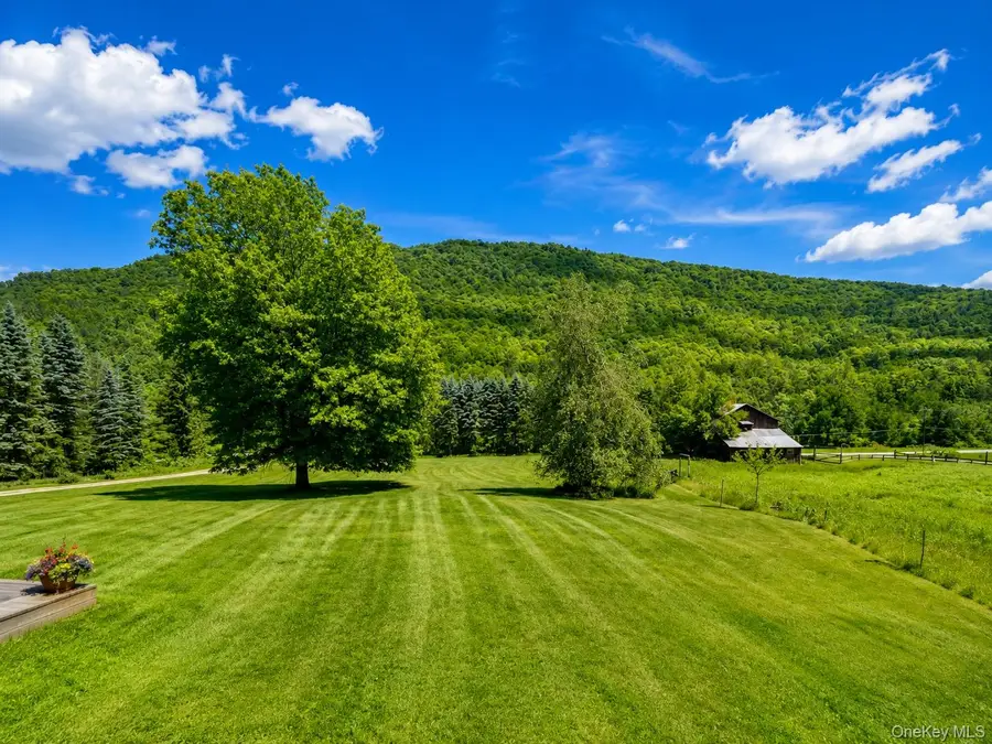 438 Gulf Road, Roscoe, NY 12776 - #3