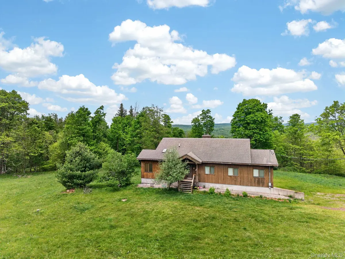 81 N Pond Drive, Parksville, NY 12768 - #1