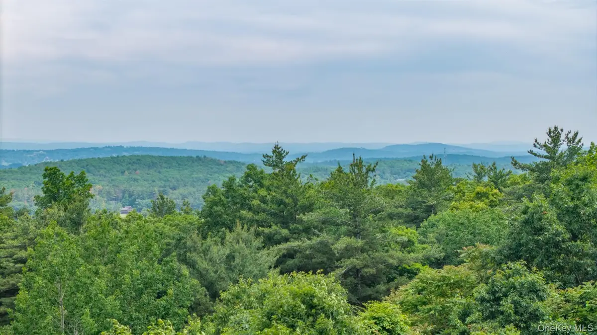 TBD Skinner Lane, Athens, NY 12015 - #1