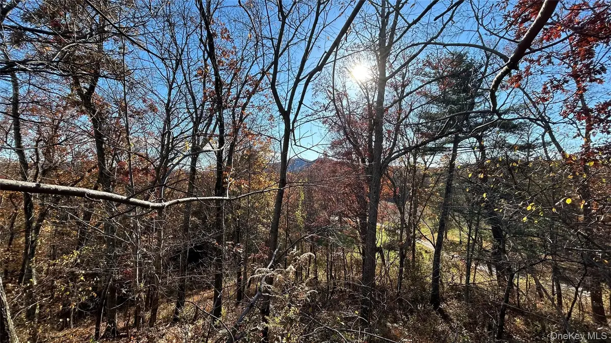 66 Ryan Road, Pine Plains, NY 12567 - #1