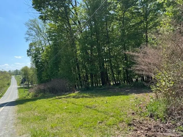 00 Polster, Delaware, NY 12726 - #3