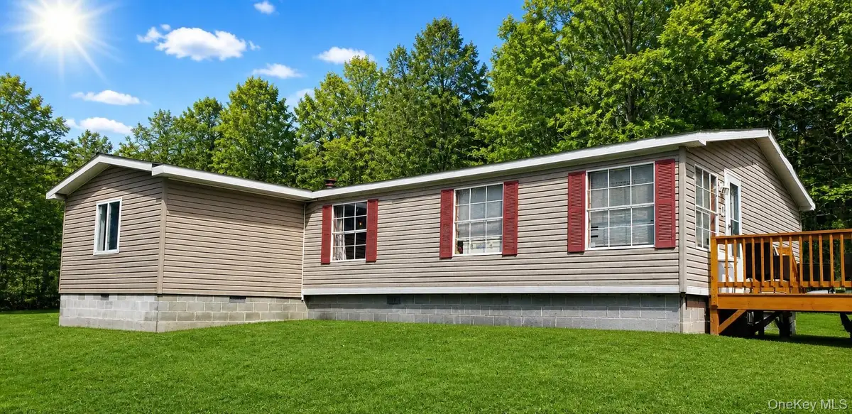 168 Harris Road, Harris, NY 12742 - #1