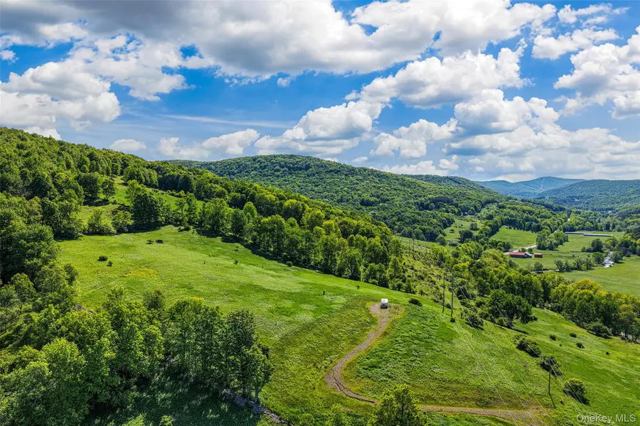 26 Federal Hill 2 Road, Delhi, NY 13753 - #2