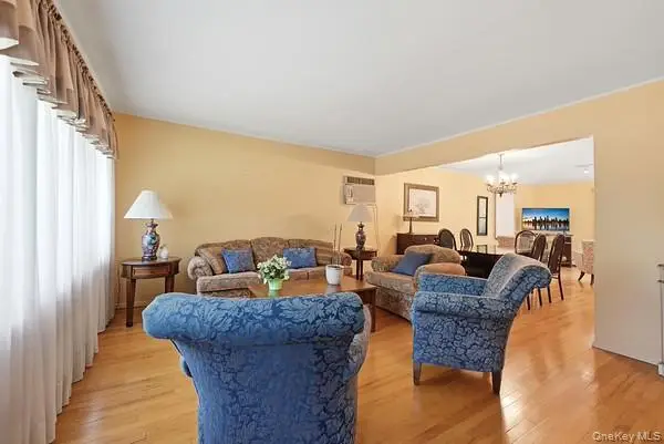 152 Nassau Drive, Albertson, NY 11507 - #3