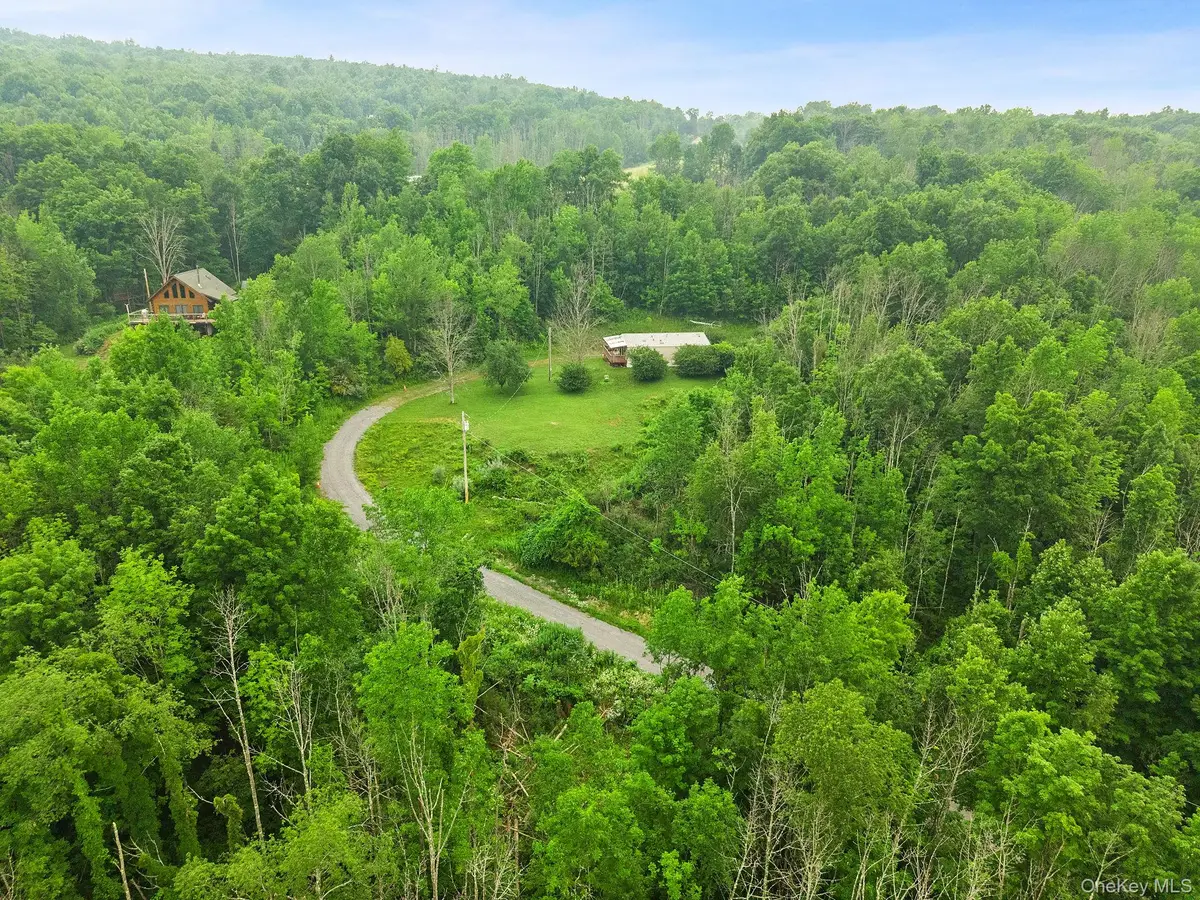 127 Grassy Road, Blenheim, NY 12131 - #1