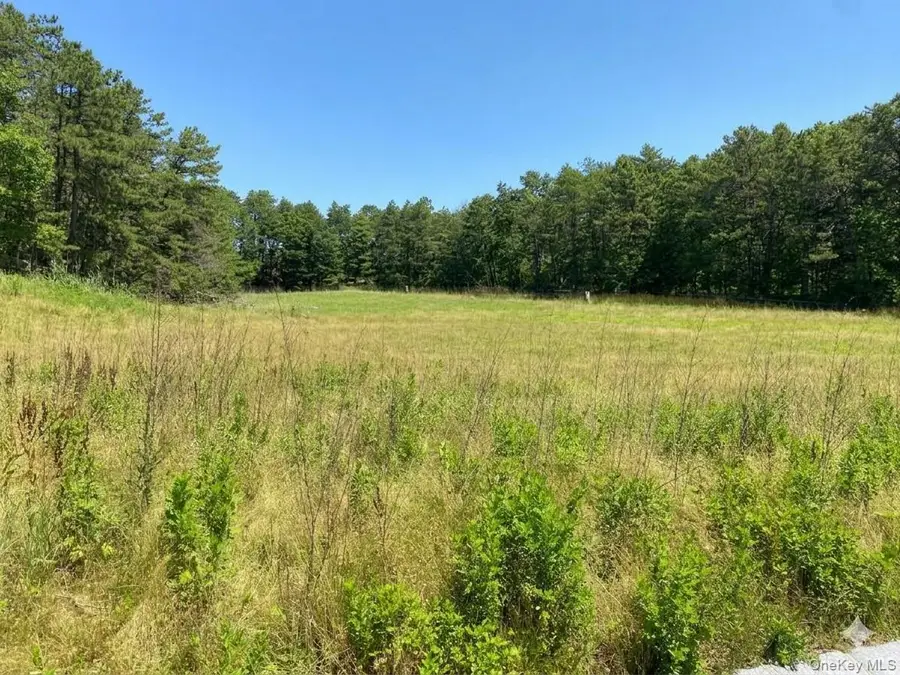 23 Sophia Court, Westhampton, NY 11977 - #2