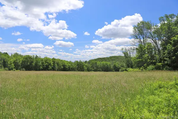 Dietz Road, Callicoon Center, NY 12724