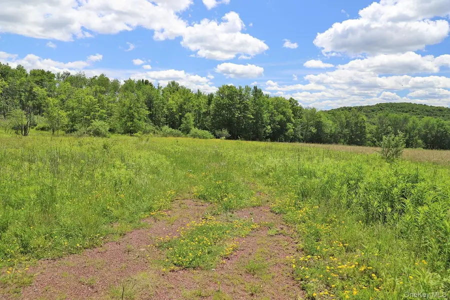 Dietz Road, Callicoon Center, NY 12724 - #3