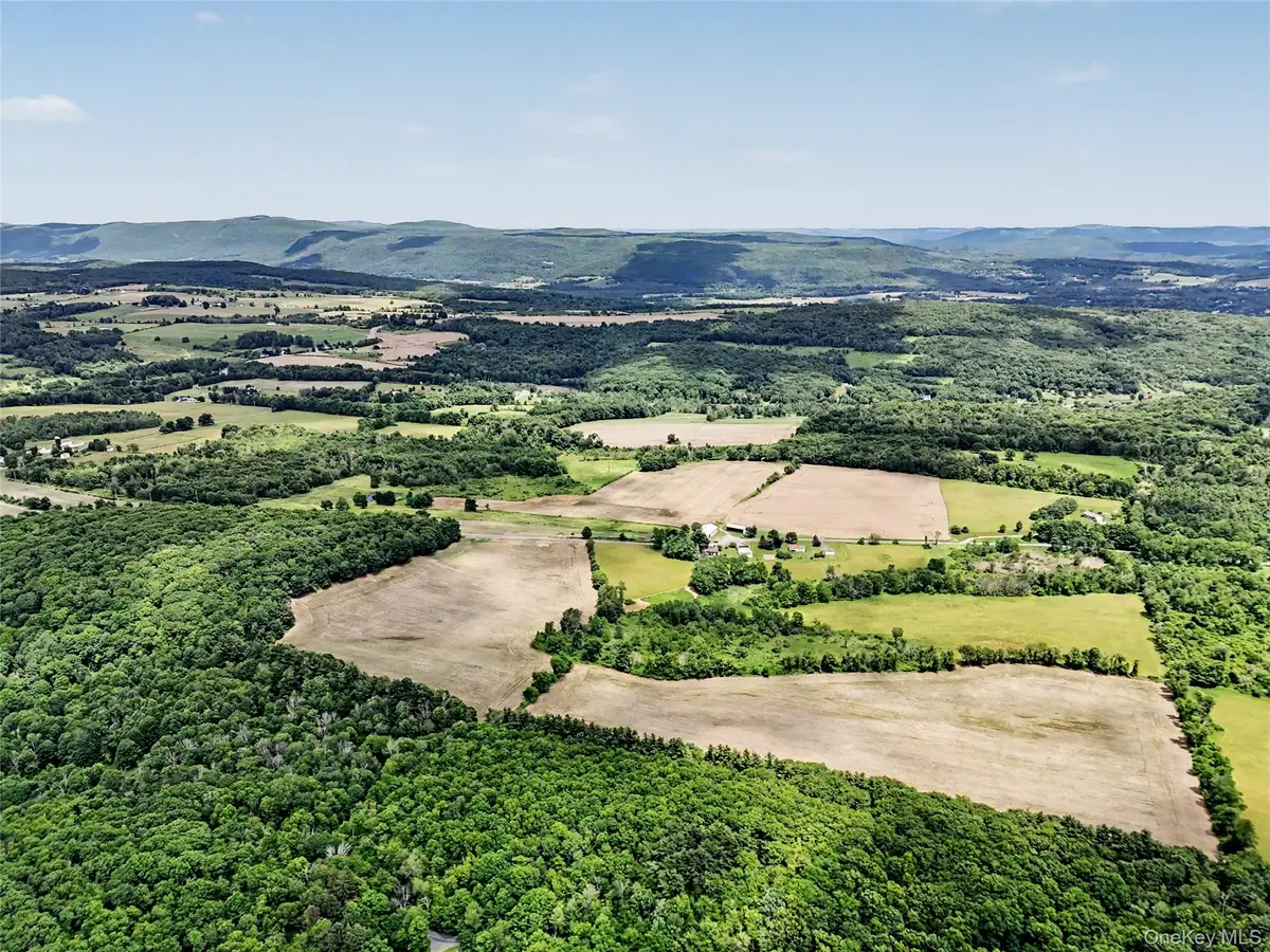 317 Skunks Misery Road, Millerton, NY 12546 - #1