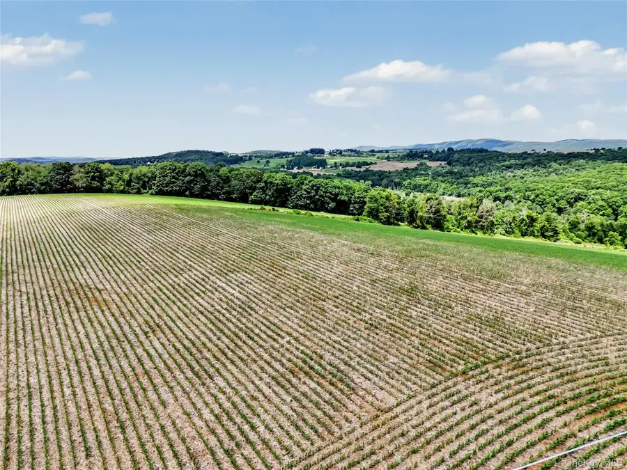 317 Skunks Misery Road, Millerton, NY 12546 - #3