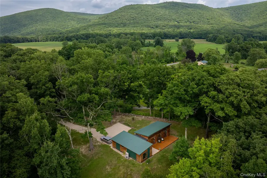 60 Under Mountain Road, Copake, NY 12516 - #3